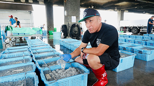 テレビ朝日「食彩の王国」＜秋しらす＞で紹介されます